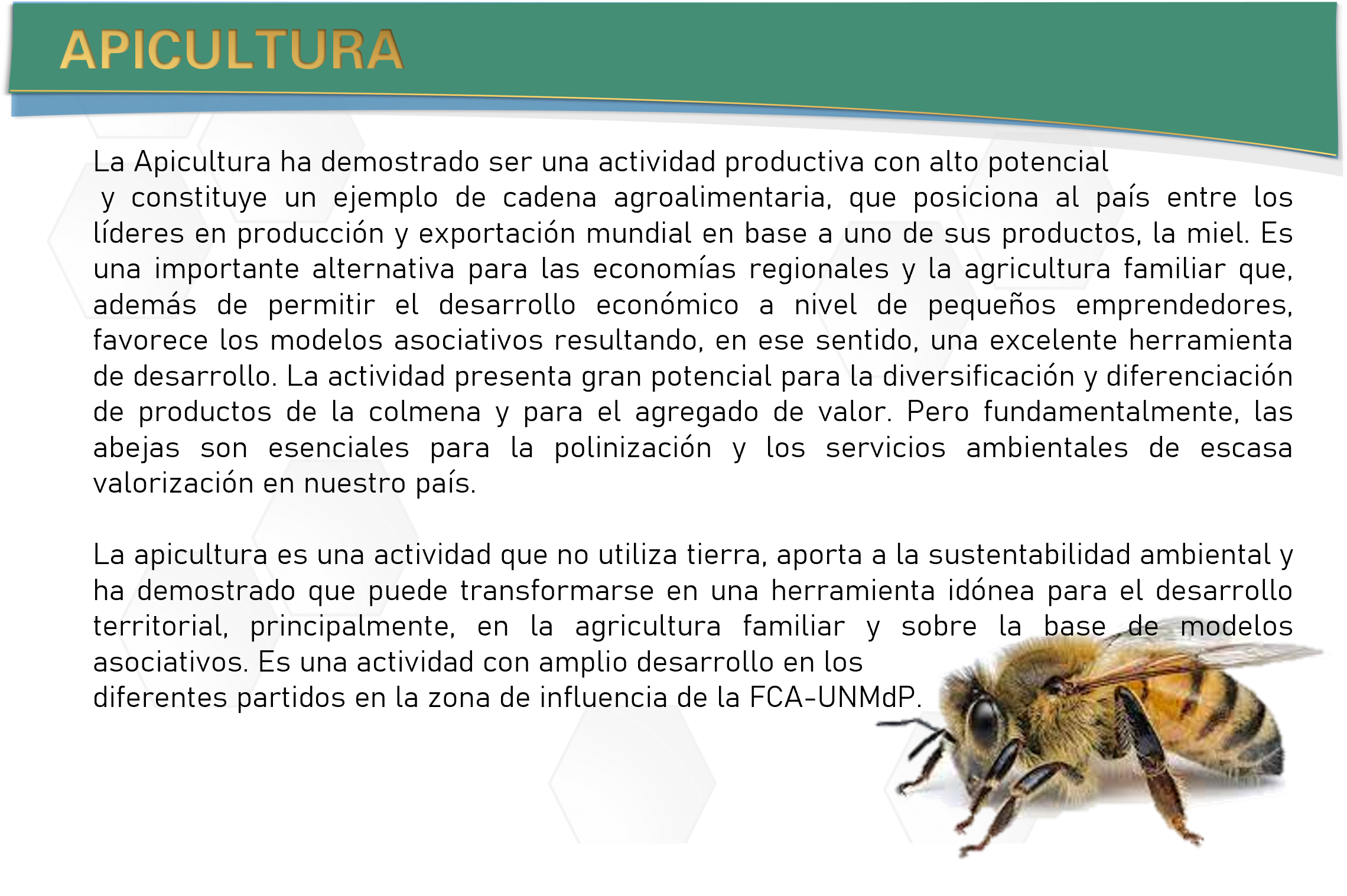 actividad productiva
