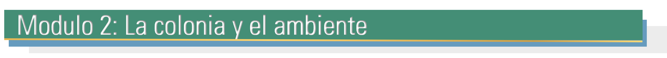 Modulo 2