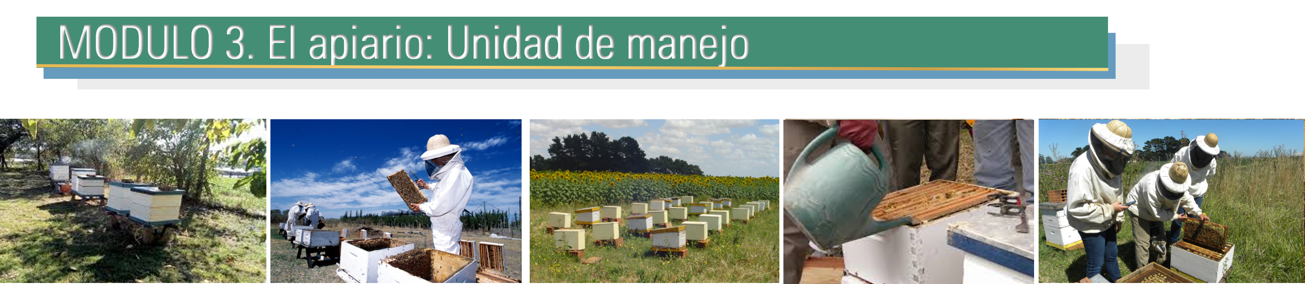 imagen modulo 3